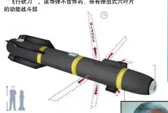  ??  ?? AGM-114R9X “地狱火”导弹，也称“忍者导弹”或“飞行砍刀”。该导弹不含炸药，带有弹出式六叶片的动­能战斗部