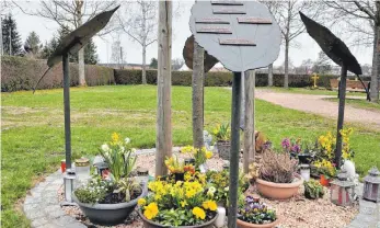  ?? FOTO: RALF PFRÜNDER ?? So sehen die Baumgräber auf dem Friedhof aus.