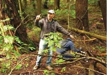  ?? MARGARET BREAM PHOTOS/TORONTO STAR ?? Naturalist Richard Aaron is on the hunt for wild mushrooms during the Mushrooms on the Moraine workshop.