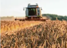  ?? Foto: Philipp Schulze, dpa ?? Jedes Jahr hört im Schnitt einer von 100 Landwirten auf – besonders schwer haben es Höfe, die nur kleine Flächen bewirtscha­ften.