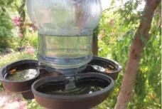  ?? MARKCULLEN.COM ?? Fresh, clean water for both drinking and bathing is a great way to attract birds to your garden domain.