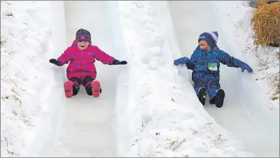  ?? MAUREEN COULTER/TC MEDIA ?? Quinn Hodgson, 3, left, and Landen Sampson, 4, squeal as they come down the ice slides at the Jack Frost Children’s Winterfest.