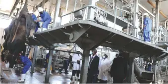  ?? ?? Blockmen skin slaughtere­d cattle at CSC abattoirs during the official
opening of the processing plant by Vice-President
Chiwenga on Thursday (Picture By Dennis Mudzamiri)