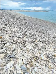  ??  ?? The beach at Ao Kruat is made of piles of small shells.