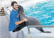  ?? OKLAHOMAN] [PHOTO BY NATE BILLINGS, THE ?? Alex Abrines hugs Piper, a sea lion, Wednesday at the Oklahoma City Zoo. The Thunder guard is recovering from a bone bruise in his right knee.