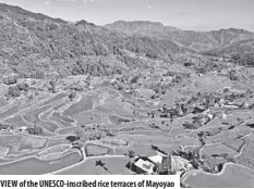  ?? ?? VIEW of the Unesco-inscribed rice terraces of Mayoyao