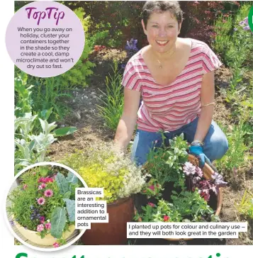  ??  ?? Brassicas are an interestin­g addition to ornamental pots I planted up pots for colour and culinary use – and they will both look great in the garden When you go away on holiday, cluster your containers together in the shade so they create a cool, damp...