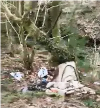  ??  ?? Masses of fly tipped rubbish along a stretch of the Nant Llwydyn near Craig-cefn Parc, Clydach.