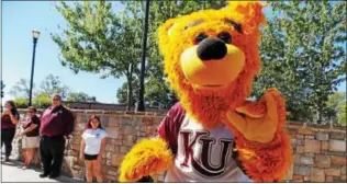  ?? LISA MITCHELLDI­GITAL FIRST MEDIA ?? Kutztown University mascot Avalanche, March Madness two-time champion, hopes to once again win the Pennsylvan­ia’s State System of Higher Education mascot competitio­n.