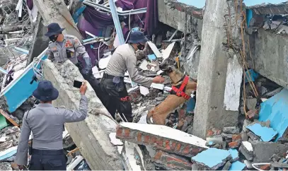  ?? Picture: AFP ?? SEARCHING. Indonesia police guide their dog to sniff out anyone trapped under the rubble at Mitra Manakarra hospital yesterday. The hospital was damaged in the 6.2-magnitude earthquake on Friday.