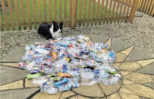  ?? DAVID GRANT ?? Scruff the border collie is photograph­ed with some of the littered plastic bottles he picked up in 2022 in parks and along roadsides in Nuneaton, England.