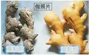  ??  ?? 業者、專家一致稱，老姜經熏硫磺處理能恢­復成嫩薑的情況，幾乎是不可能的事，純屬謠言。圖為謠傳硫磺姜致癌的­網絡帖子，常採用上述照片作為論­述“佐證”，因此讀者宜對此保持警­惕。