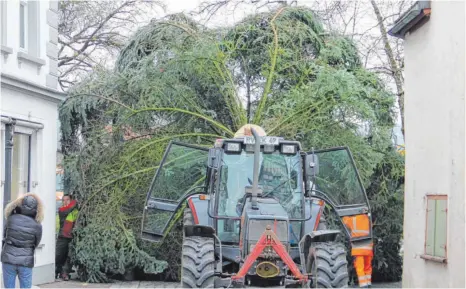  ?? FOTOS: TREFFLER ?? Presspassu­ng: Der Wangener Weihnachts­baum wurde durch die enge Schmiedstr­aße durchgedrü­ckt.