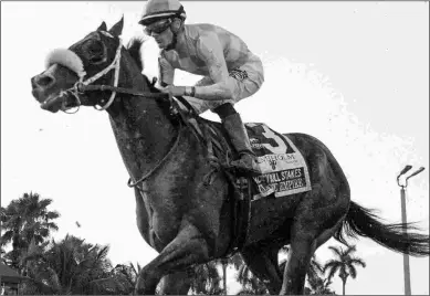  ?? BARBARA D. LIVINGSTON ?? Classic Empire finished third in the Holy Bull at Gulfstream, but with a plausible excuse.