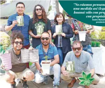  ?? | ÁNGEL CRUZ ?? Todos los días llevan a cabo diversas actividade­s con la finalidad de promover el consumo de esta planta.