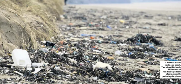  ??  ?? A tide of plastic waste on a beach. There is said to be sixbillion tons of non-biodegrada­bleplastic currently polluting the planet