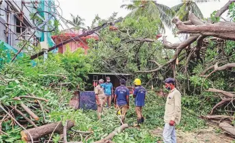  ?? PTI ?? Workers clear an uprooted tree that fell on a power line during a storm in Coimbatore on Sunday. Cyclone Amphan has gathered strength into a severe cyclonic storm.