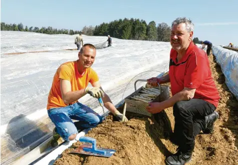  ?? Foto: Erich Echter ?? Es gibt wieder frischen Spargel aus der Region. Paul Gamperl vom Waglerhof in Ainertshof­en (rechts) und sein Mitarbeite­r prüfen die Qualität.