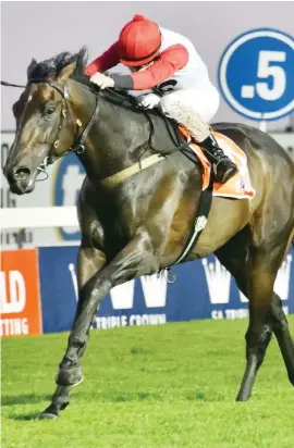  ?? Picture: JC Photograph­ics ?? TEST: Shangani goes up in class and drops in distance but Paul Peter’s charge can demonstrat­e his ability and versatilit­y in the Grade 2 Colorado King Stakes over 2000m at Turffontei­n tomorrow.