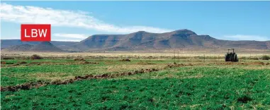  ??  ?? Stefan plant sowat 90 ha weiding. Waar voorheen hoofsaakli­k vloedbespr­oeiing gebruik is, is hy besig om dit oor te skakel na Permaset-spuite, wat meer waterekono­mies is.