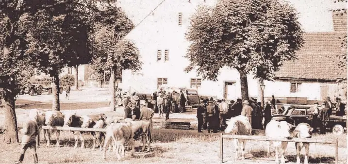  ?? Fotos: Archiv Hölzle ?? Noch bis in die 1950er-Jahre fanden in Pfaffenhau­sen Viehmärkte statt. Doch wie unser Bild zeigt, ließ die große Anziehungs­kraft damals schon nach.