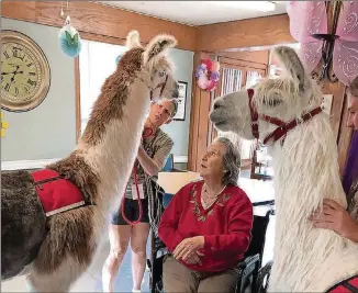  ?? JENNIFER KINGSON VIA THE NEW YORK TIMES ?? In an image provided by Jennifer Kingson, Carol Rutledge, left, who says her llamas have a sixth sense about people who are needy or frail, with Jean Wyatt at the Stockdale Residence and Rehabilita­tion Center in Stockdale, Texas, in April. The charismati­c llama is a welcome addition at some nursing homes and rehabilita­tion centers.