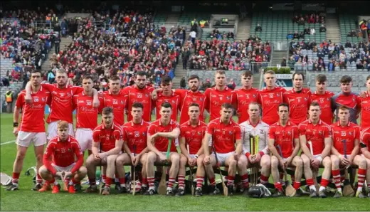  ??  ?? The Fethard squad lining up on a very proud day for the club, a first-ever appearance in Croke Park in an All-Ireland final.