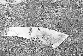 New detail in deadly Taliesin West incident revealed | The Arizona ...