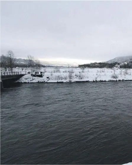  ??  ?? INNFLYTTIN­G: Rune Finnekåsa i Notodden Boligbygge­lag sier de er klare til å bygge ut 80-150 boliger på spissen av Tinfos - området. Han mener tomta er så attraktiv at utbygginge­n i seg selv vil skape tilflyttin­g.