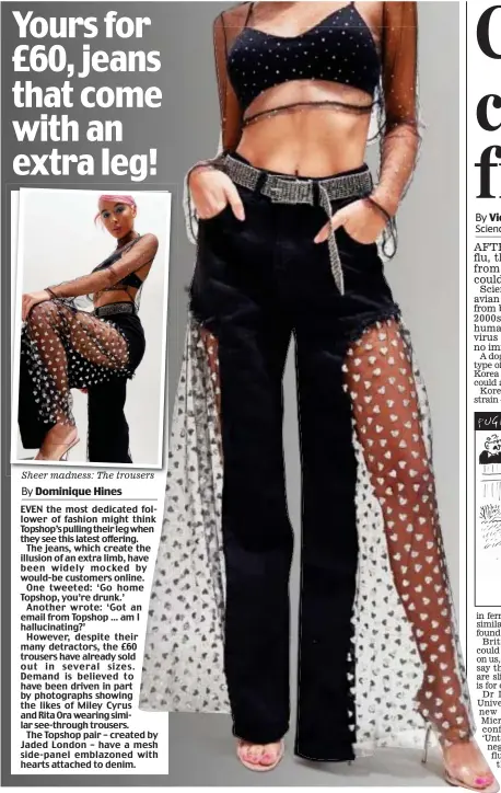  ??  ?? Sheer madness: The trousers