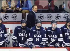  ?? Richard T Gagnon / Getty Images ?? Yale coach Keith Allain stands behind the bench during a game against Boston University during a game in 2016 in Boston