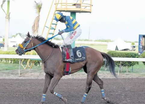  ?? KENYON HEMANS/PHOTOGRAPH­ER ?? CHACE THE GREAT, with Kyle McGregor aboard, is guided to the Winner’s Enclosure after winning the 10th race at Caymanas Park yesterday. Yesterday marked the first race meet at the venue since it was closed in March due to the coronaviru­s outbreak.