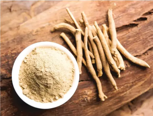  ?? STOCK.ADOBE.COM ?? Ashwagandh, also known as Indian ginseng and winter cherry, is the latest herbal trend.
