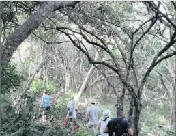  ?? PICTURES: ARTHI GOPI ?? BREATHE DEEP: With airy canopies in some areas (as seen on the left), and thick vegetation to manoeuvre through (seen on the right), the Hawaan forest is something of a workout, with indigenous trees all around.