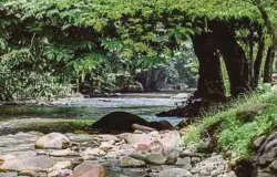  ??  ?? BERLIBUR dengan mandi-manda di Sungai Pangsun.