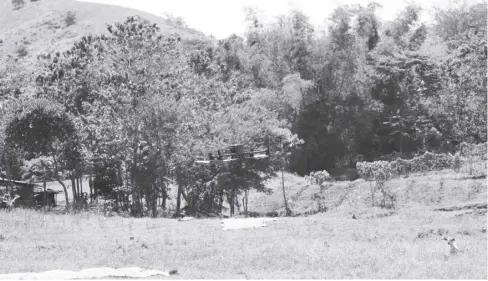  ?? ?? The Provincial Engineer’s Office conducts a topographi­c survey using a sophistica­ted drone equipped with LiDAR technology at the proposed project site for the constructi­on of 30 units of housing and land developmen­t under the Purok Resilience Program in Barangay Nangka, Batad.