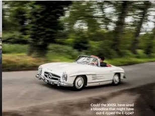  ??  ?? Could the 300SL have sired a bloodline that might have out-e-typed the E-type?