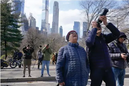  ?? ?? Small crowds of bird watchers have been drawn to Central Park for a sighting of Flaco. Photograph: Seth Wenig/AP