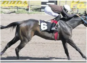  ??  ?? Zi Beast (Roger Hewitt) winning the fifth race on Saturday, February 6, 2021.