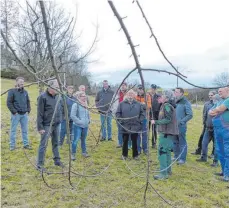  ?? FOTO: MARTIN BAUCH ?? „Wie schneide ich einen Obstbaum richtig?“Die Teilnehmer des Schnittkur­ses in Schwabsber­g haben von der Fachfrau Maria Brenner viele wichtige Antworten auf diese Frage bekommen.