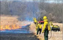  ?? JOE OCCHIUZZO ?? The Cook County Forest Preserve District conducts prescribed burns each fall and spring to suppress woody vegetation and invasive species and help native plants thrive.