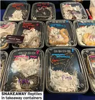  ?? ?? SNAKEAWAY Reptiles in takeaway containers