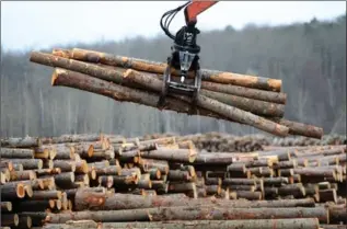  ?? THE CANADIAN PRESS FILE PHOTO ?? Logs are sorted at the Murray Brothers Lumber Co. woodlot in Madawaska, Ont.