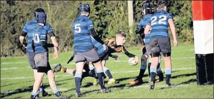  ??  ?? Hinckley RFC U14s in action against Syston where they continued their blistering form. Pictures by Lee Buckler