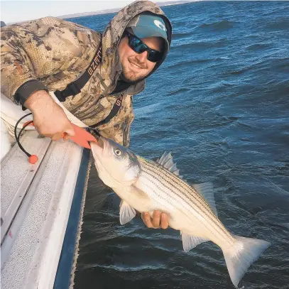  ?? CHRIS D. DOLLAR ?? Pending regulation­s for the 2020 rockfish season could include new rules that curtail catch-and-release striper fishing, which studies have shown to have minimal impact on rockfish population­s.