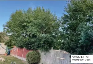  ?? ?? ‘UNSAFE’: The overgrown trees