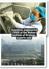  ?? ?? Scientists engineered COVID at the Wuhan Institute of Virology,
experts said