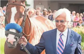  ?? DAVID R. LUTMAN/SPECIAL TO COURIER-JOURNAL ?? Bob Baffert shows off 2018 Triple Crown winner Justify as they walk around the paddock at Churchill Downs in a day of fan celebratio­n in June.