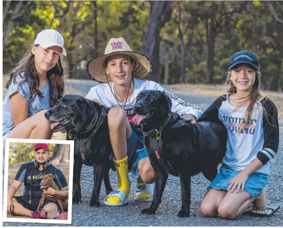  ?? Picture: JERAD WILLIAMS ?? Emily, Nick and Sarah Pierron with their dogs Indy and Jett at Musgrave off-leash dog park and (inset) Dashay Morrison with his dog.