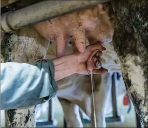  ??  ?? Seuls 4000 éleveurs ont adopté la démarche « Ferme laitière bas carbone ».